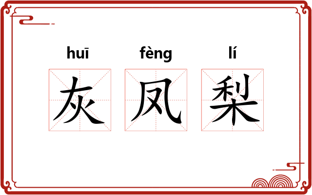 灰凤梨