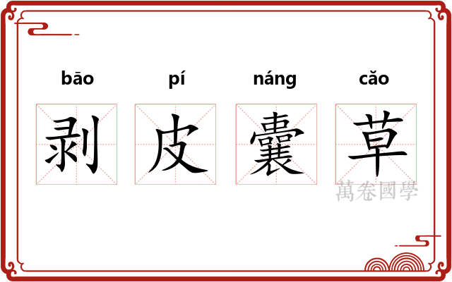 剥皮囊草 剥皮囊草