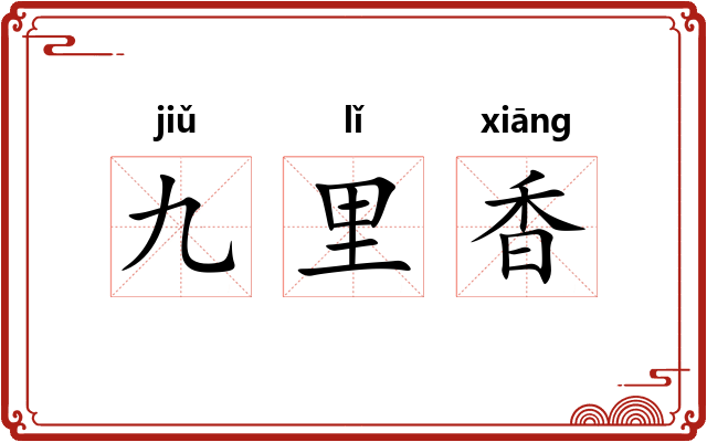 九里香