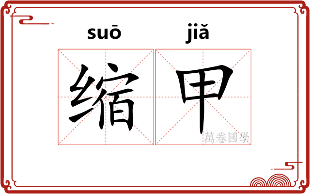 缩甲 缩甲