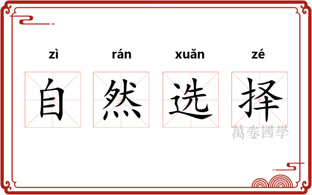 自然选择 自然选择