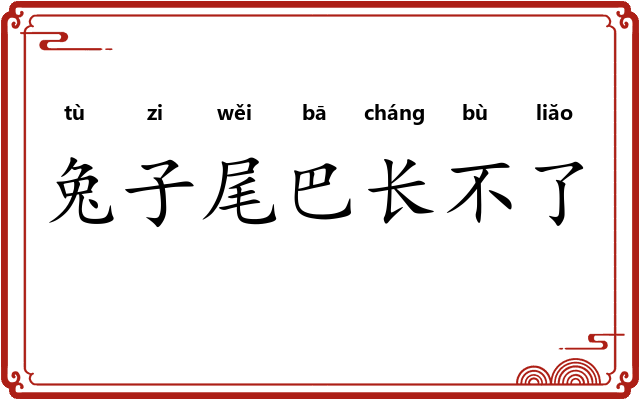 兔子尾巴长不了