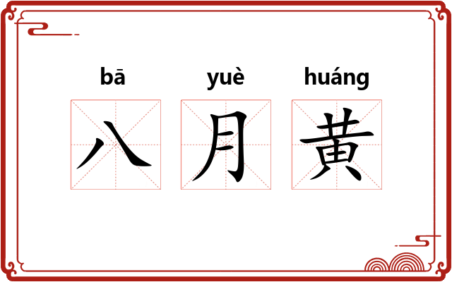 八月黄