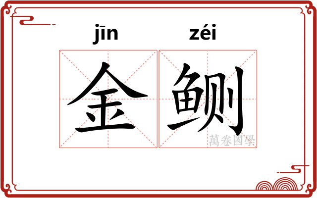 金鲗 金鲗