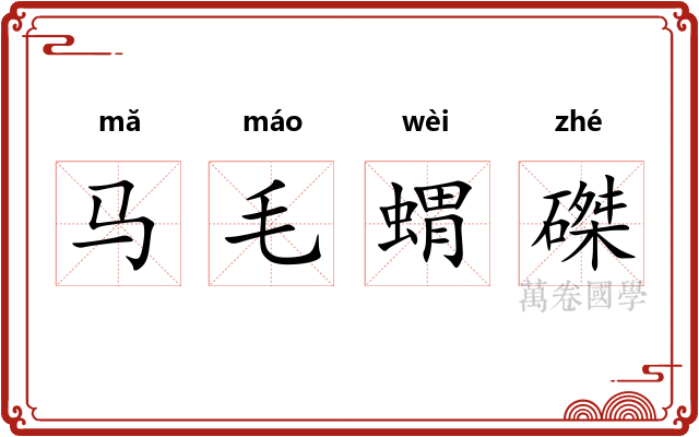 马毛蝟磔