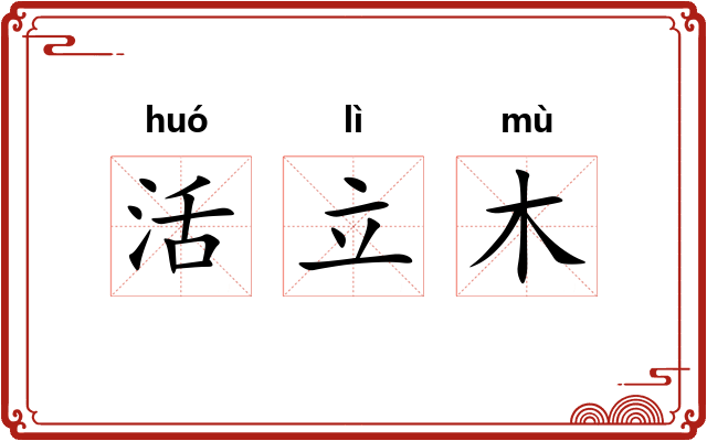 活立木 活立木