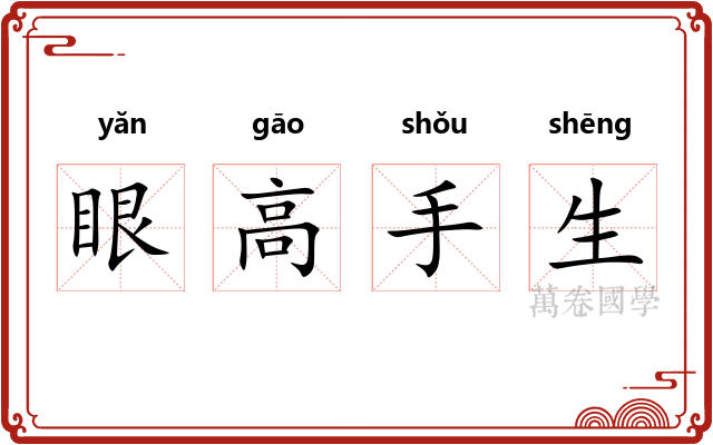 眼高手生