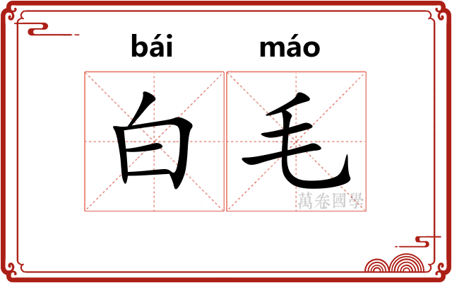白毛 白毛