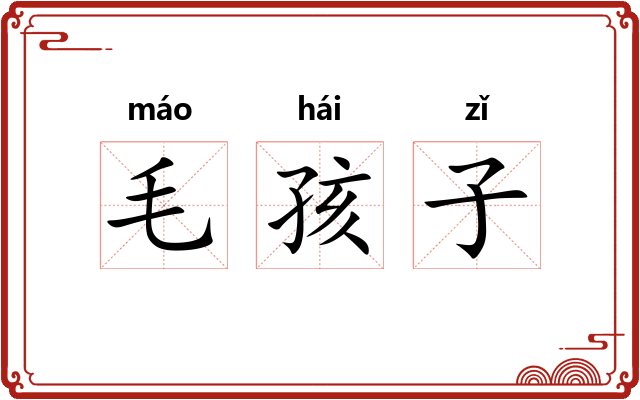 毛孩子 毛孩子