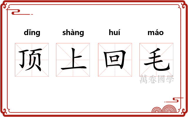 顶上回毛