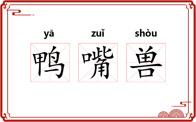 鸭嘴兽 鸭嘴兽