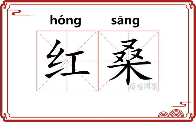 红桑 红桑