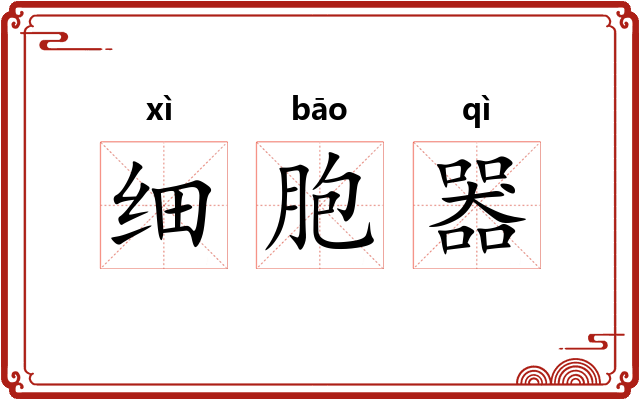 细胞器 细胞器