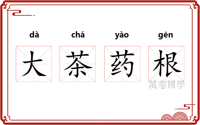 大茶药根 大茶药根
