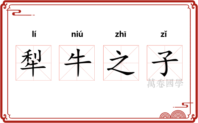 犁牛之子 犁牛之子