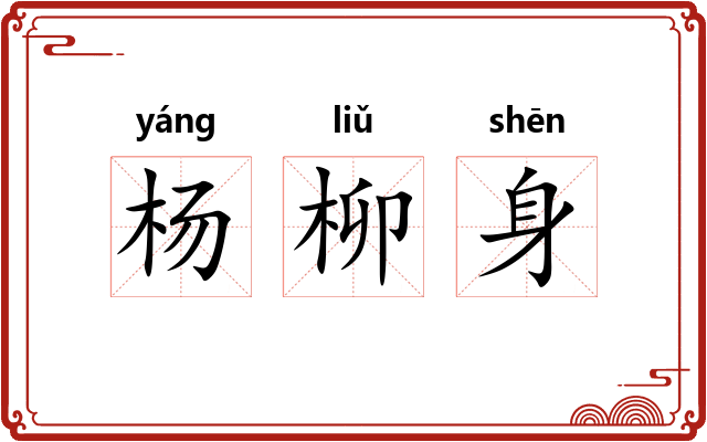 杨柳身