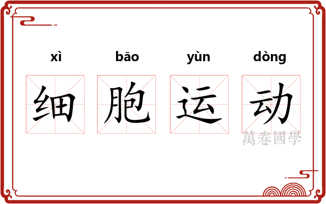 细胞运动 细胞运动