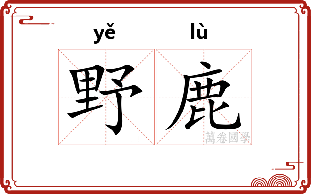 野鹿 野鹿