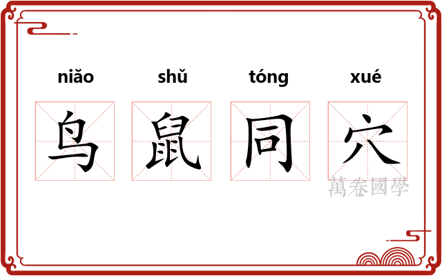 鸟鼠同穴
