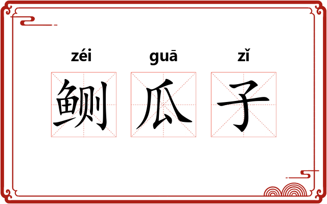 鲗瓜子 鲗瓜子