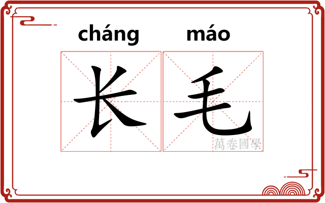 长毛 长毛