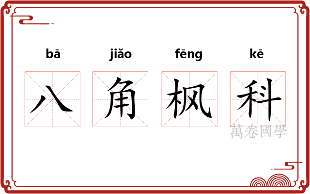 八角枫科 八角枫科