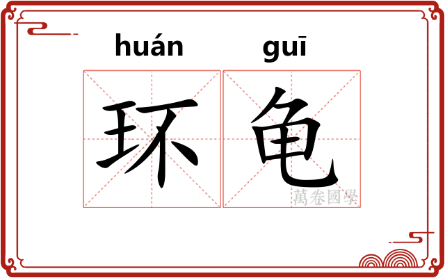 环龟 环龟
