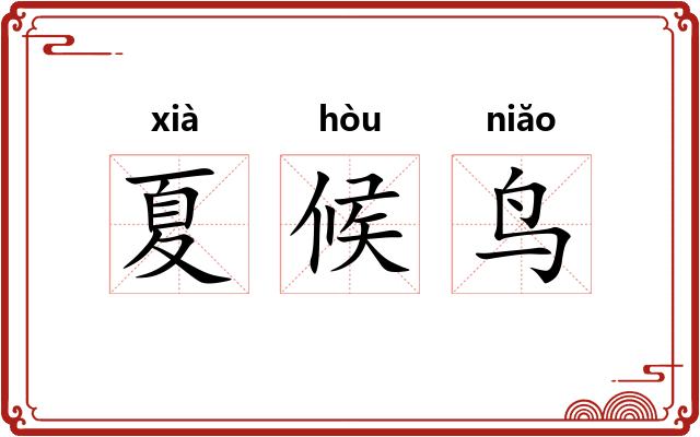 夏候鸟 夏候鸟