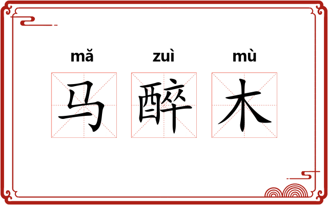 马醉木