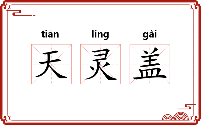 天灵盖 天灵盖