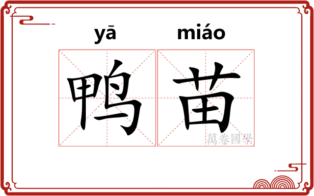 鸭苗 鸭苗