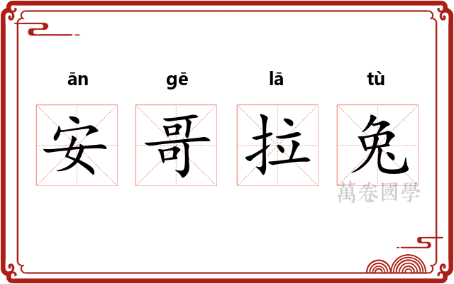 安哥拉兔 安哥拉兔