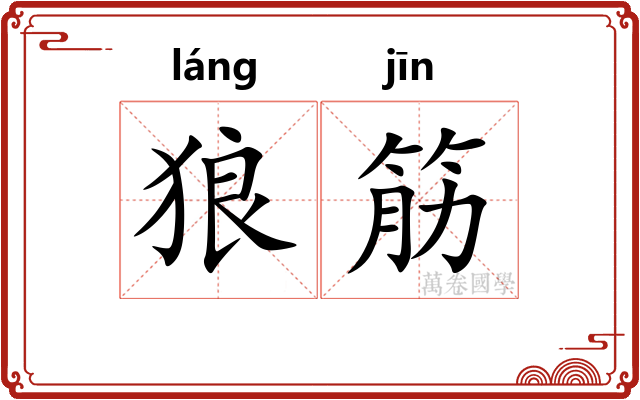狼筋 狼筋