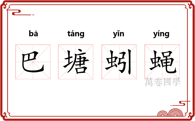 巴塘蚓蝇 巴塘蚓蝇