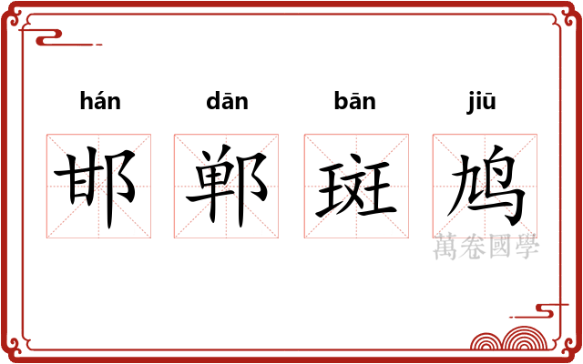 邯郸斑鸠 邯郸斑鸠
