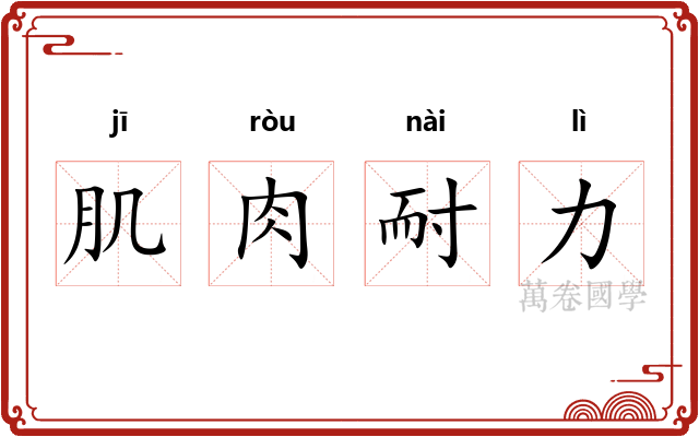 肌肉耐力 肌肉耐力
