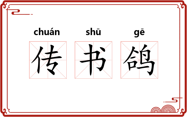 传书鸽