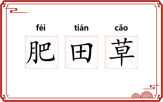 肥田草 肥田草