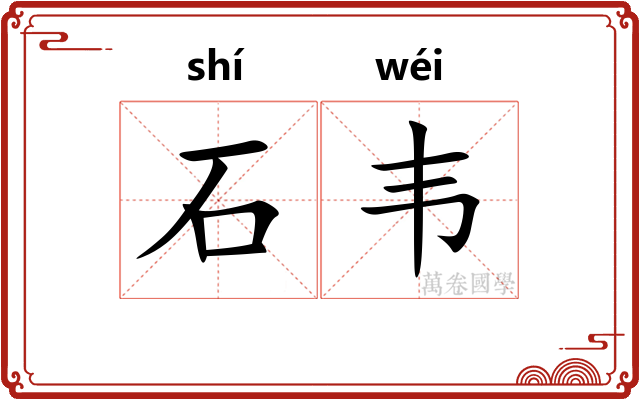 石韦 石韦