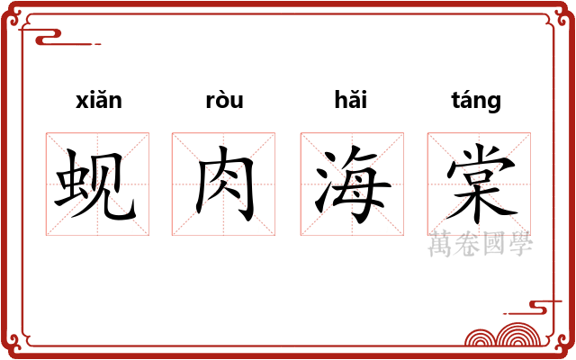 蚬肉海棠