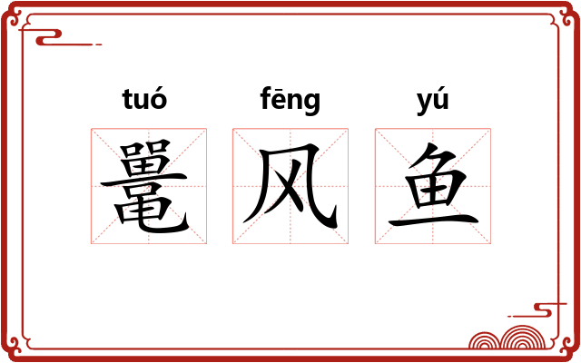 鼍风鱼 鼍风鱼