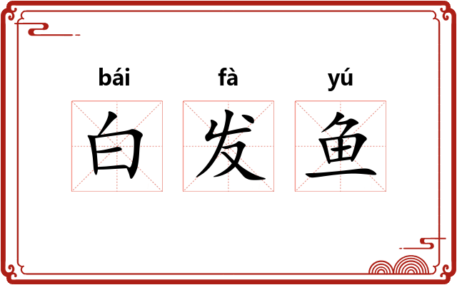 白发鱼 白发鱼