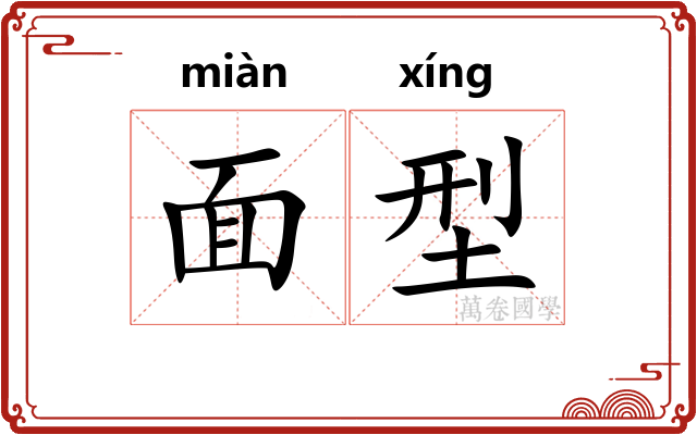 面型
