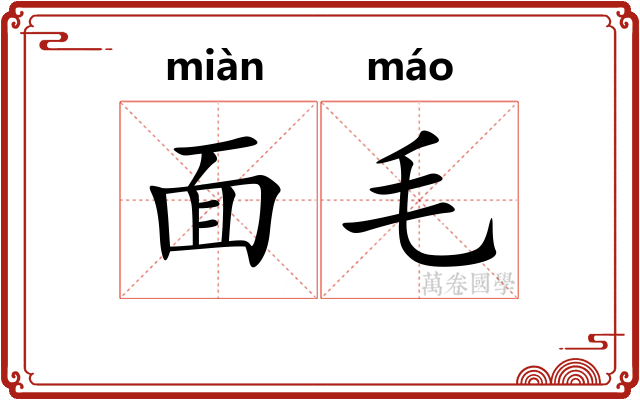 面毛 面毛