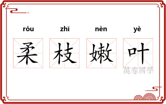 柔枝嫩叶 柔枝嫩叶