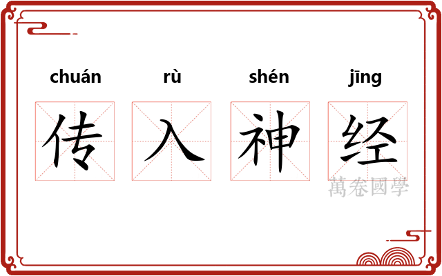 传入神经 传入神经