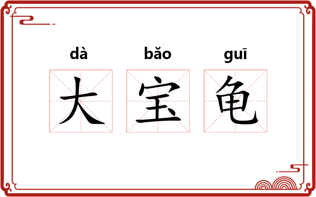 大宝龟 大宝龟