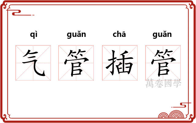 气管插管 气管插管