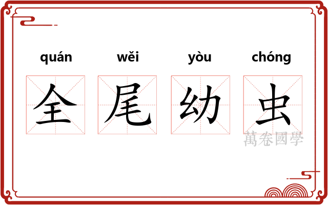 全尾幼虫 全尾幼虫