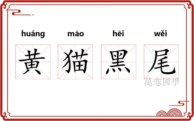 黄猫黑尾